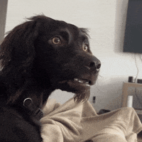 Driving Fathers Day GIF by Jennifer Nie
