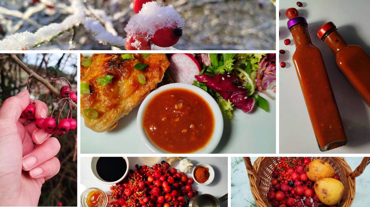 Homemade Bulgogi Style Sauce from Foraged Winter Fruits