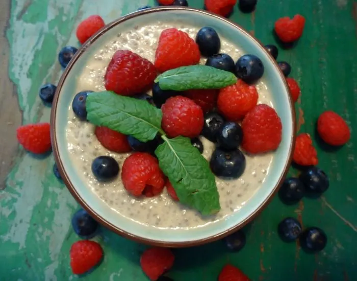 coconut-berry-chia-seed-pudding.jpg
