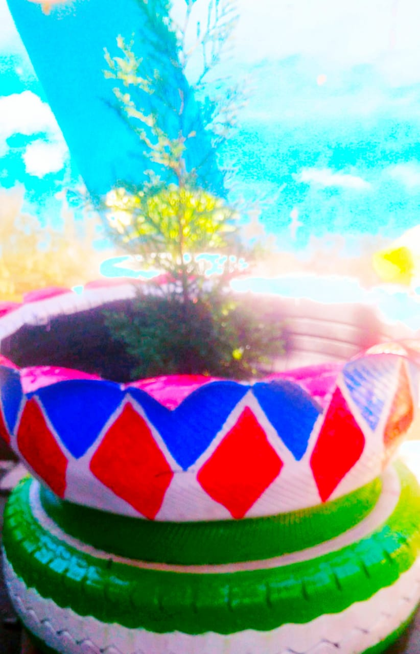 Pictures of Used Car Tires Turned into Flower Pots.