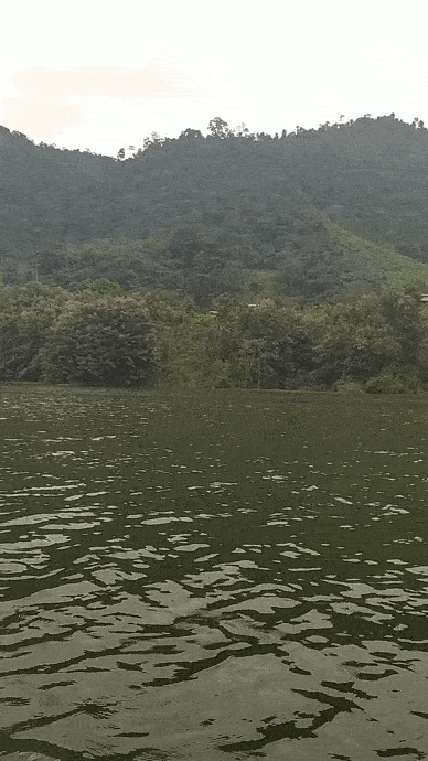 VID_20210626_111630(0).gif