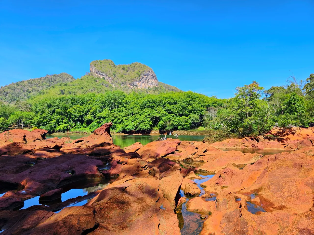IMG_20240509_095358.jpg