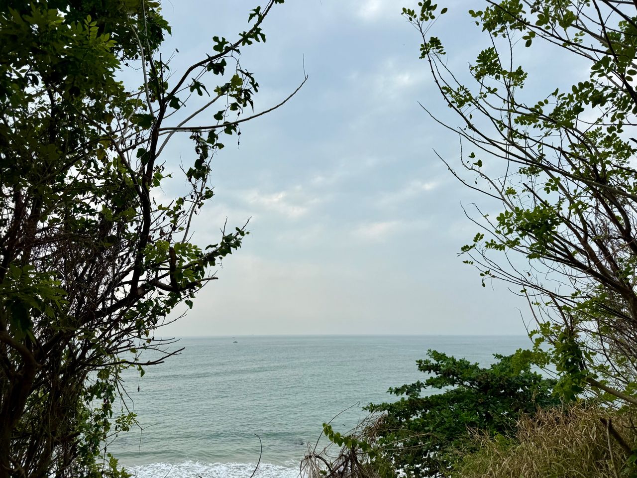 IMG_1325.jpeg