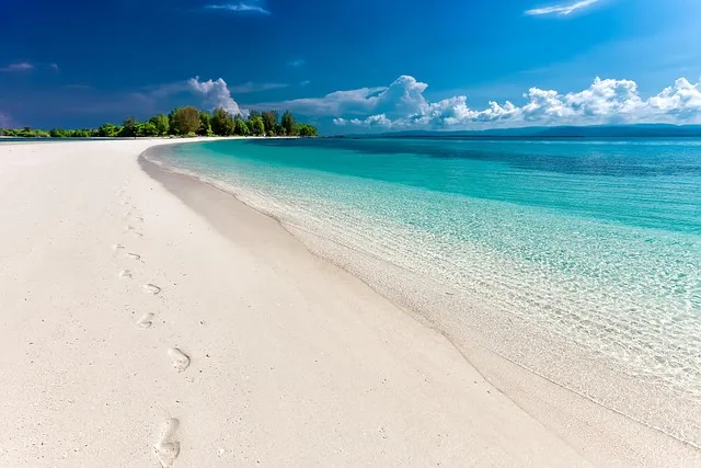 beach-6292382_640.jpg