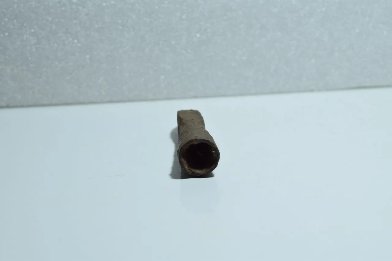 DSC_1554.JPG