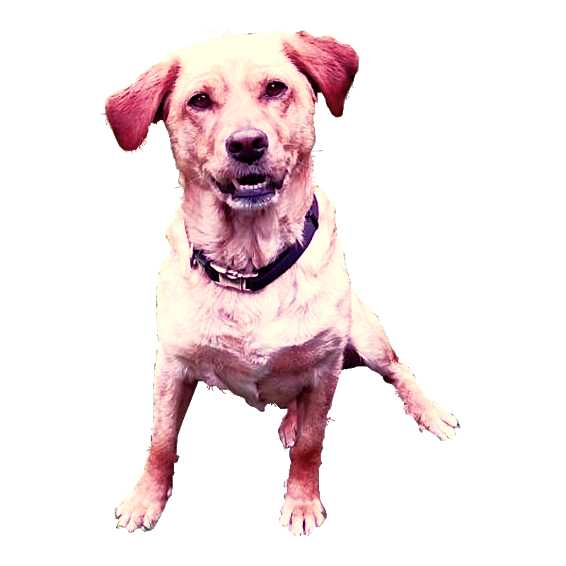 AJpiqN2PymNJZDWdamEiDovJExYA78MYRFNDvPoswonawwmPBKVBv8YkHTBtmJ2.png