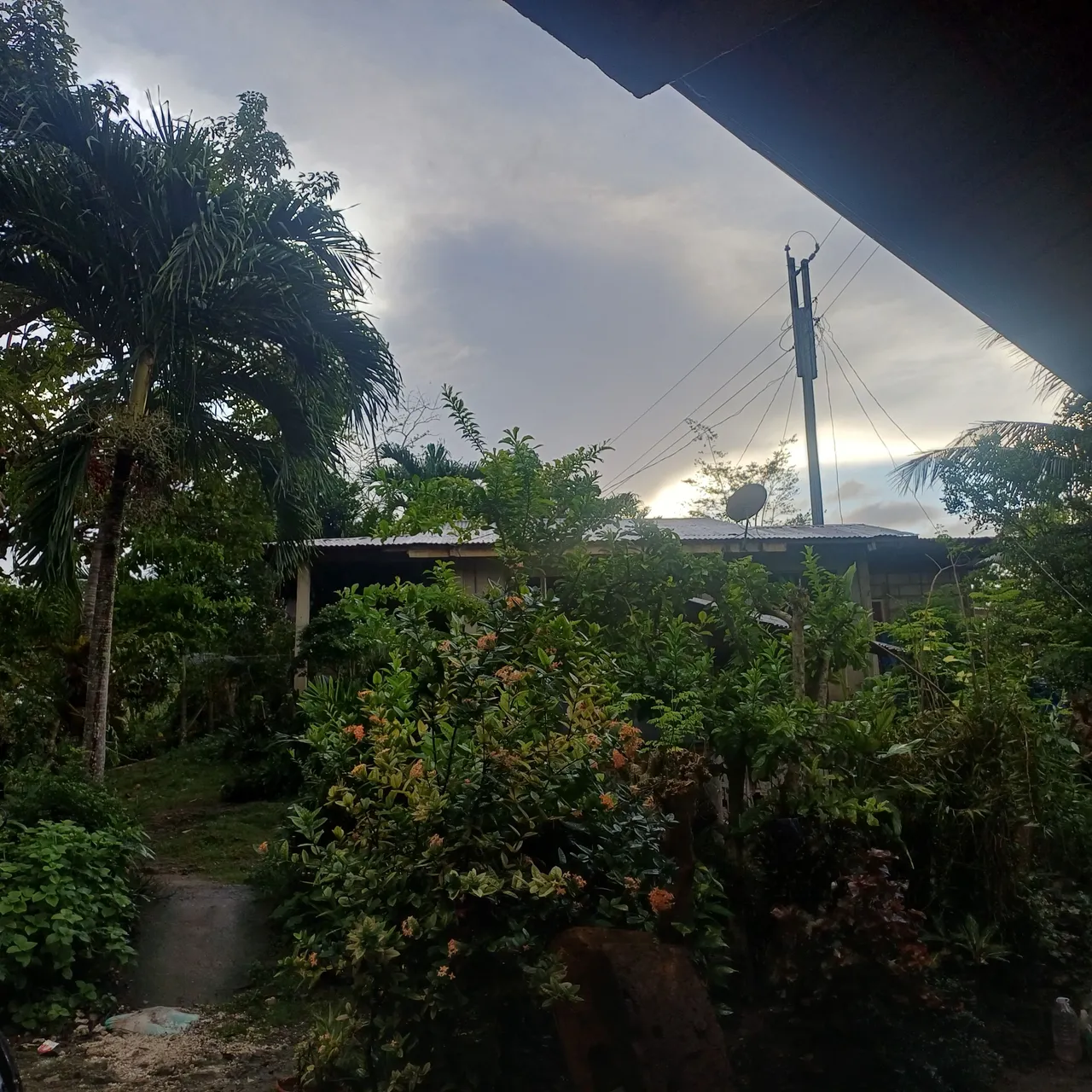 3801.jpg