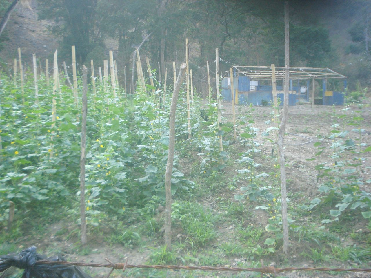 IMG_20260517_142450.jpg
