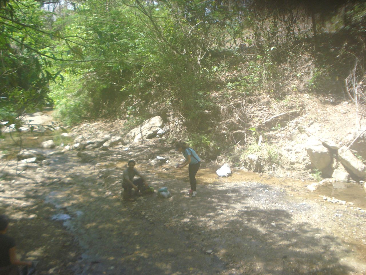 IMG_20260517_143459.jpg