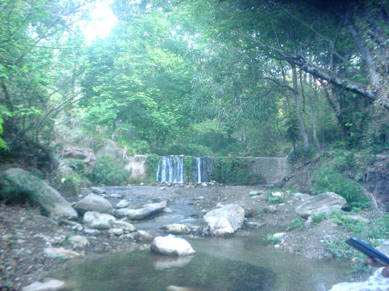 IMG_20260517_145321.jpg