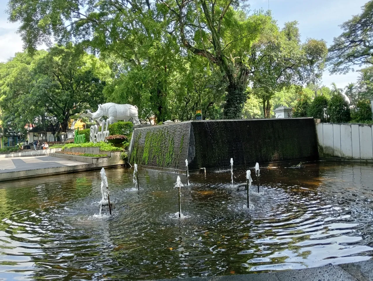 IMG20250414095844.jpg