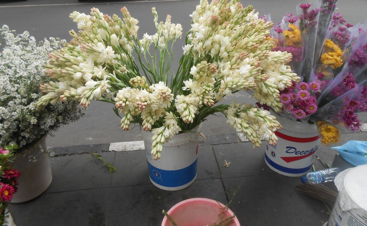 IMG_20220520_051450.jpg