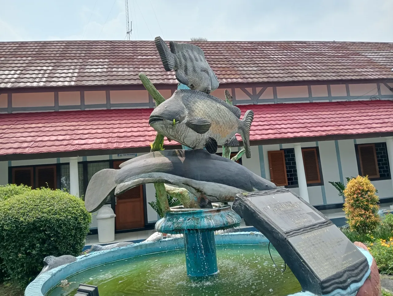 IMG20250925123131.jpg