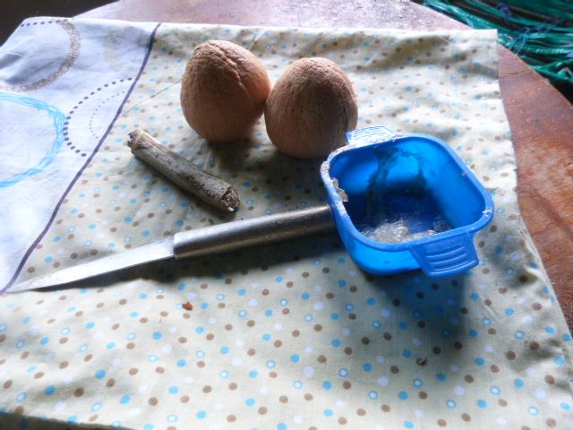 P1030516.JPG