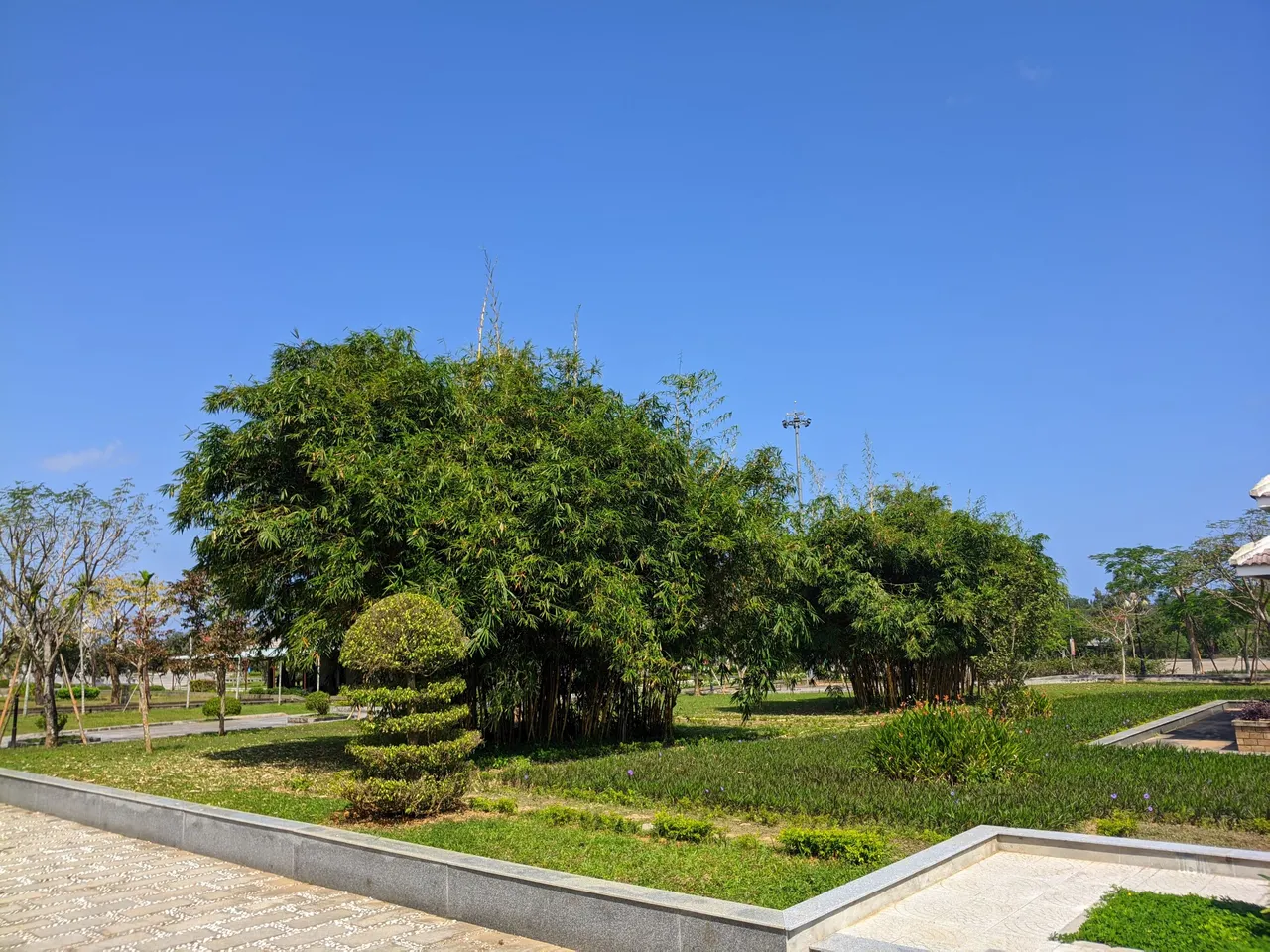 PXL_20220129_044146262.MP.jpg