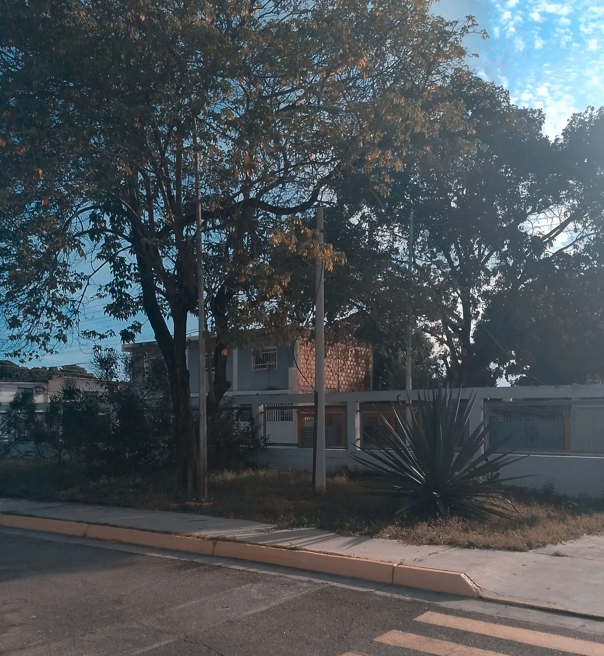 8d4af485-af19-4e70-858e-b39c41d980d6-1_all_1998_polarr.jpeg