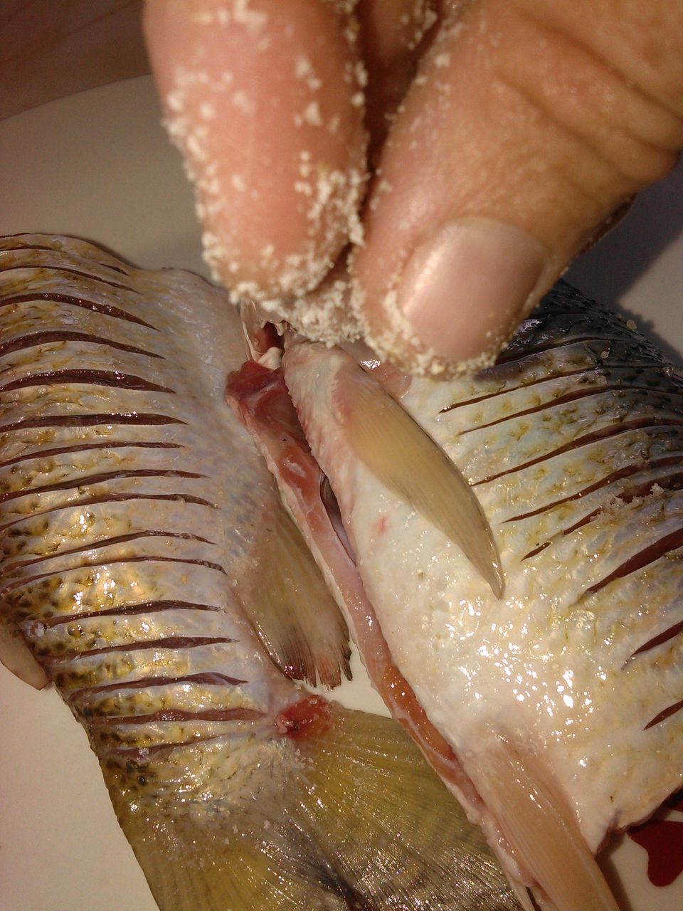 WP_20211009_034.jpg