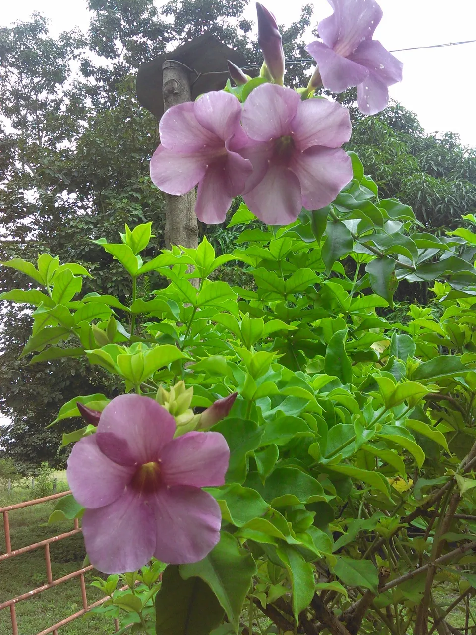 WP_20211017_114.jpg
