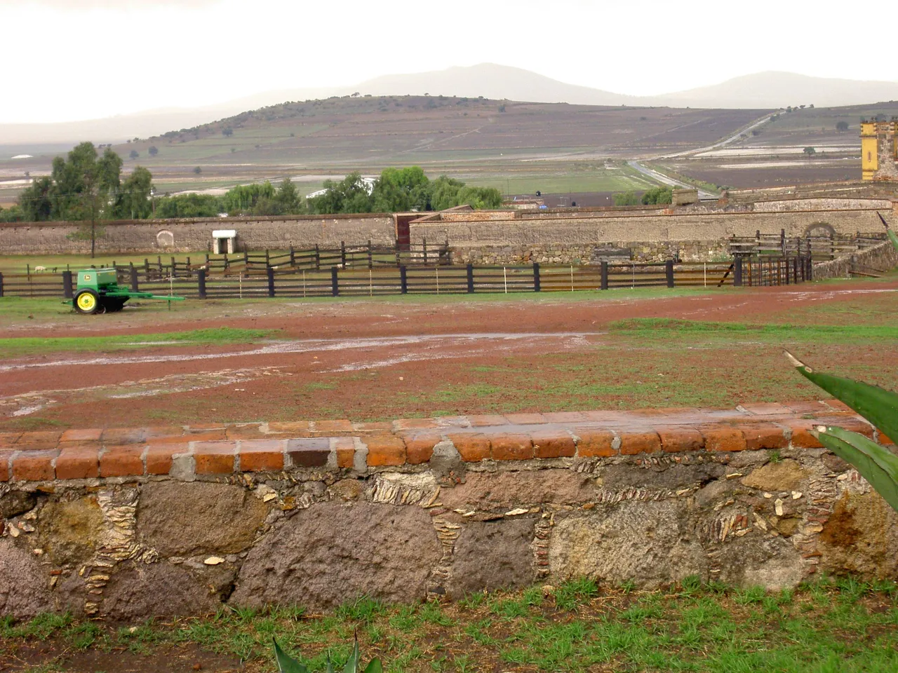 PICT6483.JPG