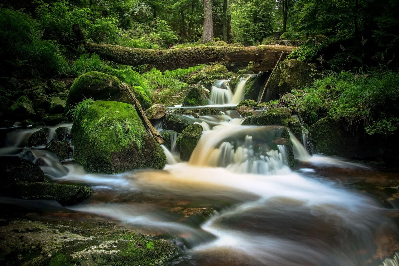 03 Water Flow.jpg
