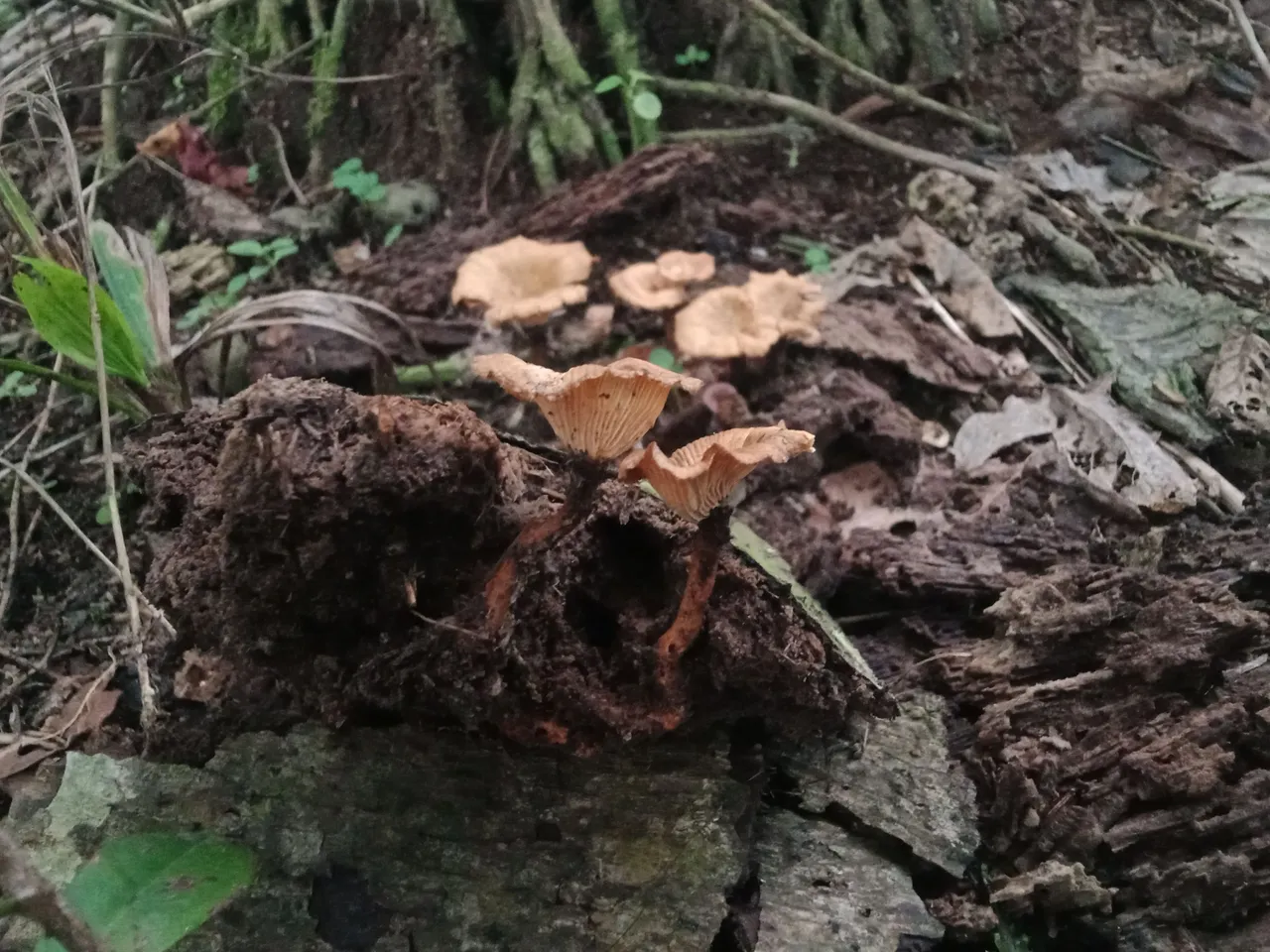 IMG20241105174318.jpg