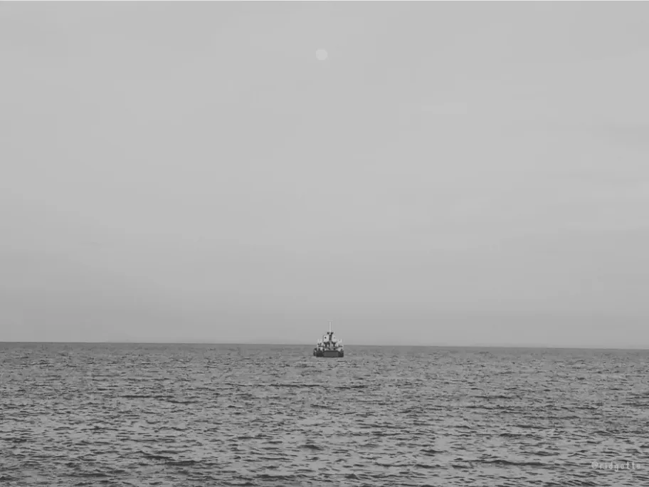 IMG_20250609_213141.jpg