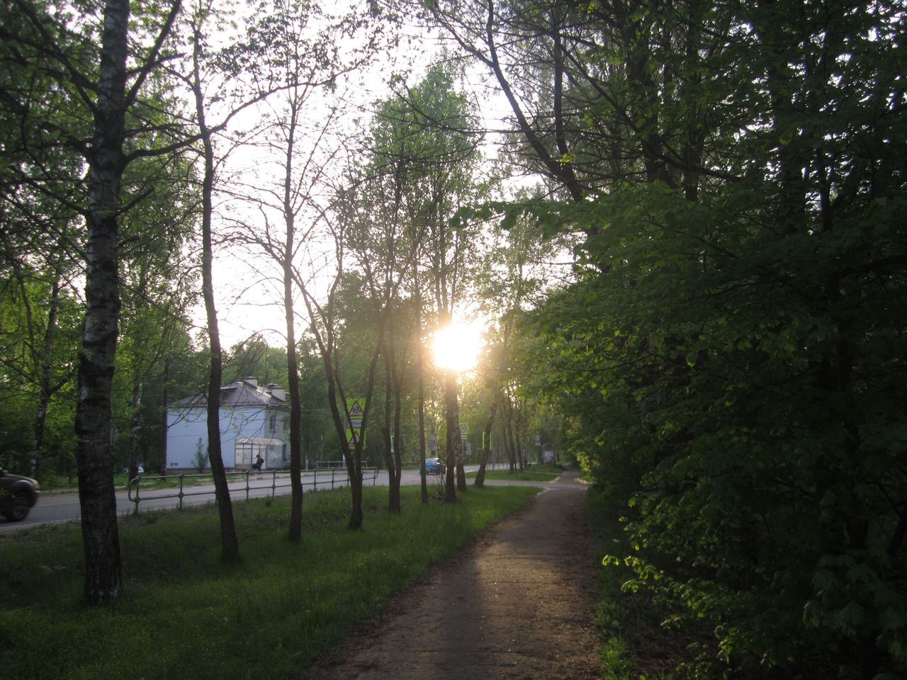 IMG_1551.JPG