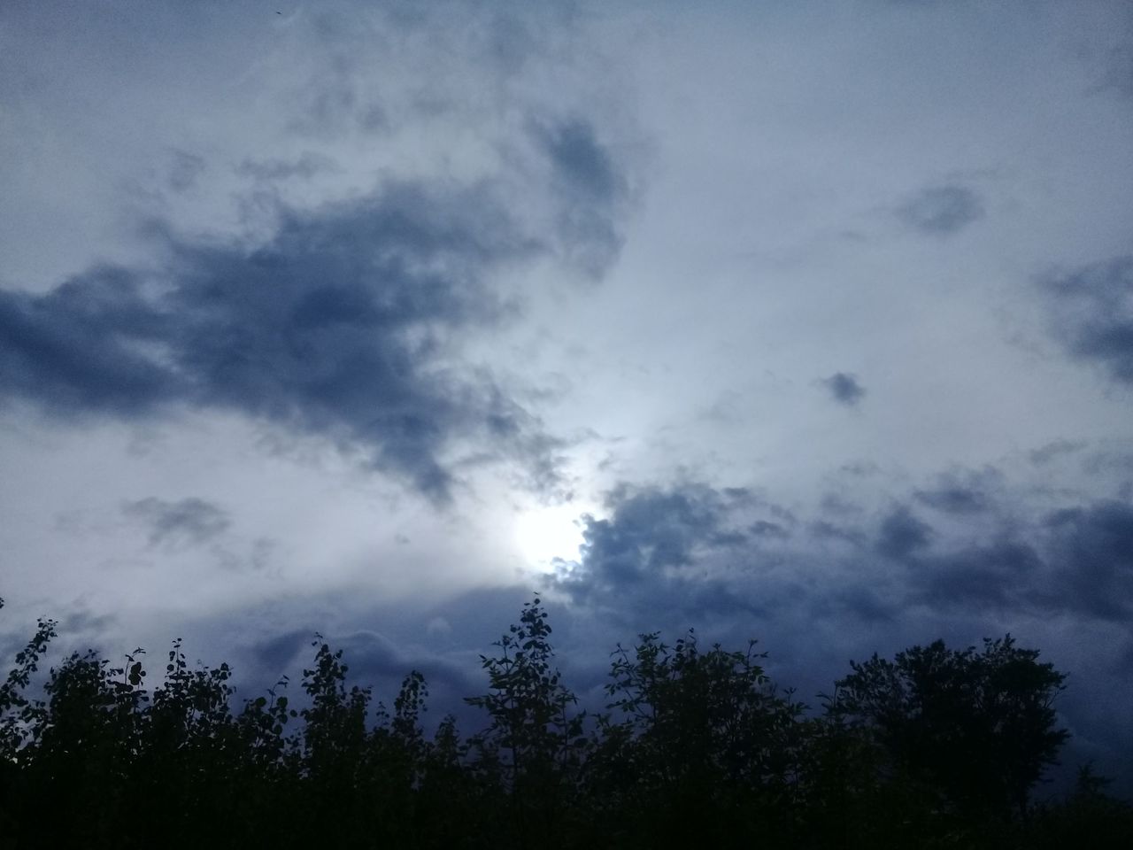 20260525_173206.jpg