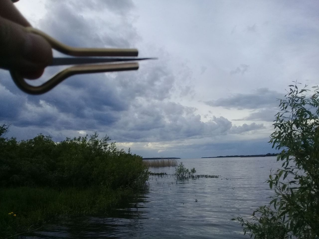 20260525_173228.jpg