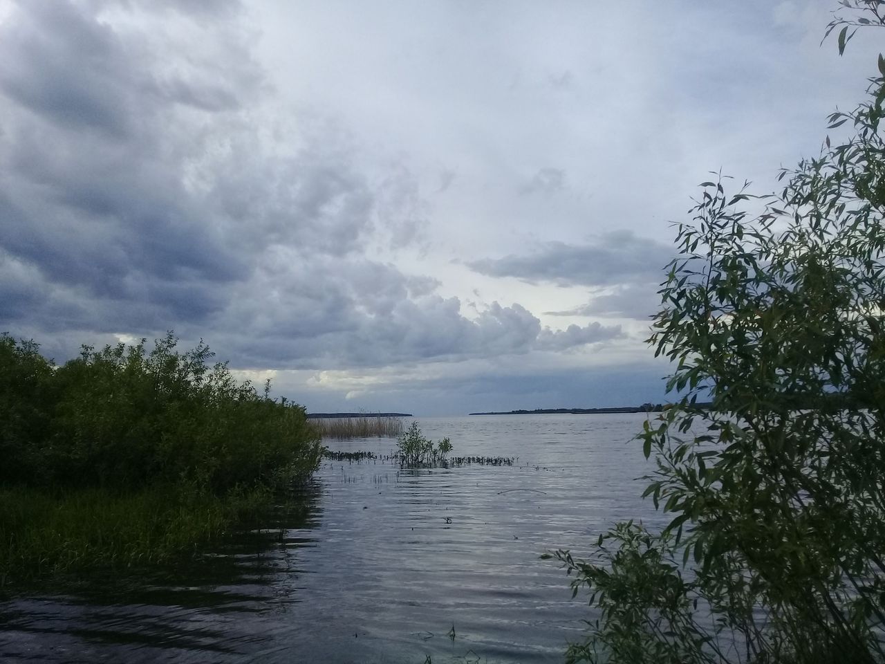 20260525_173202.jpg