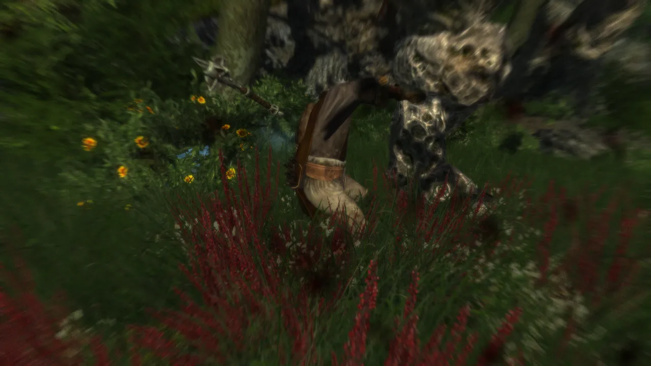 Elder Scrolls V  Skyrim Screenshot 2021.01.05 - 14.42.16.33.png