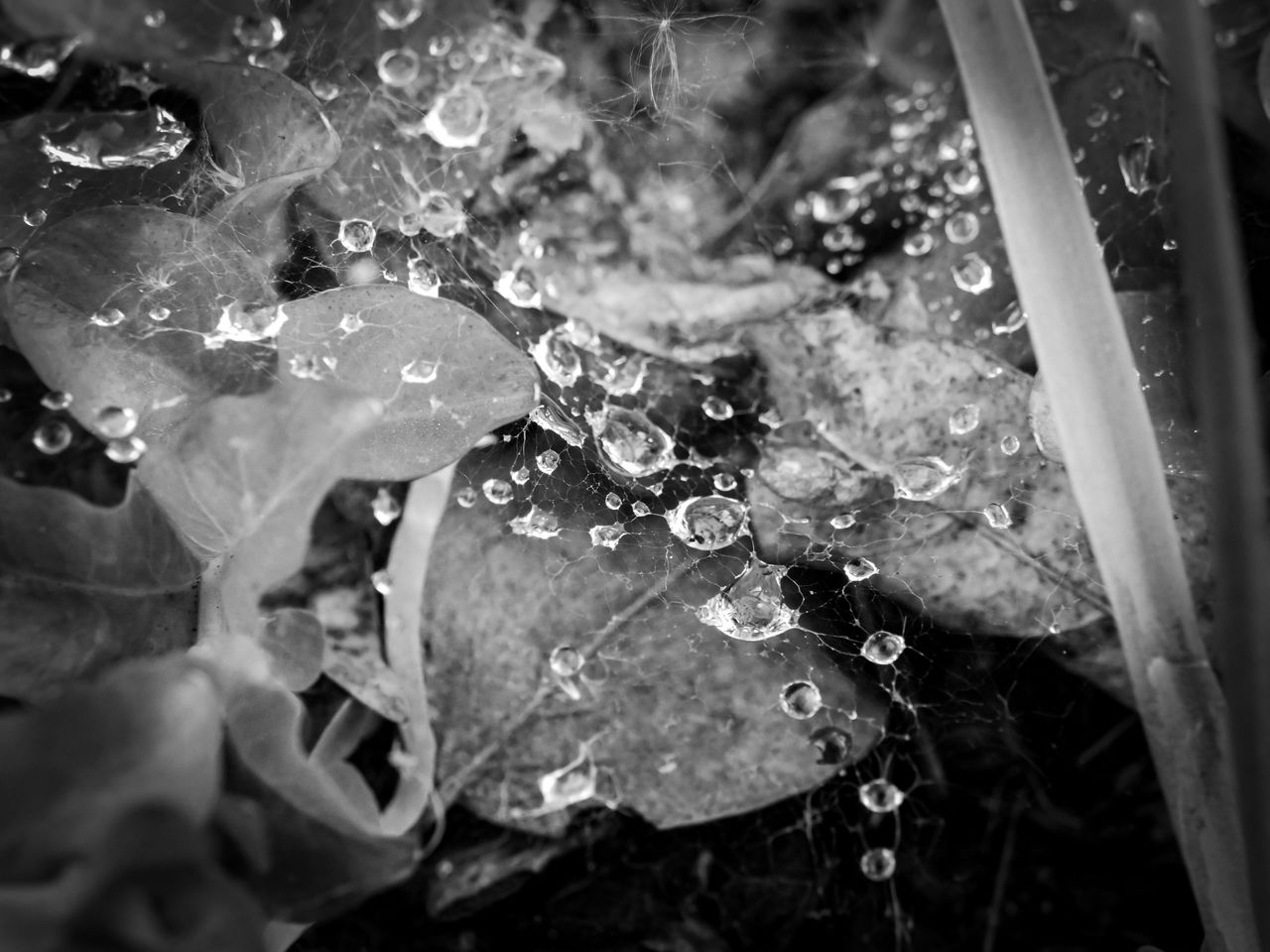 IMG_20260510_130149_392 (1).jpg