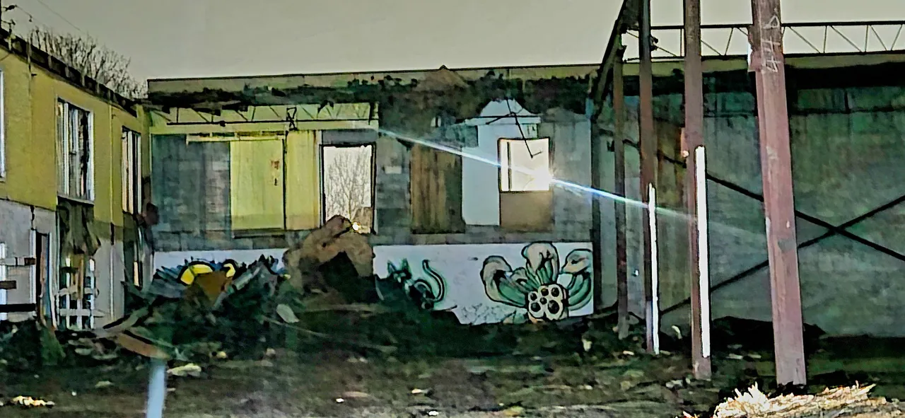 20250414_045116.jpg