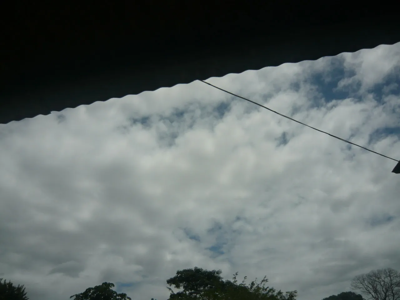P1180747.JPG