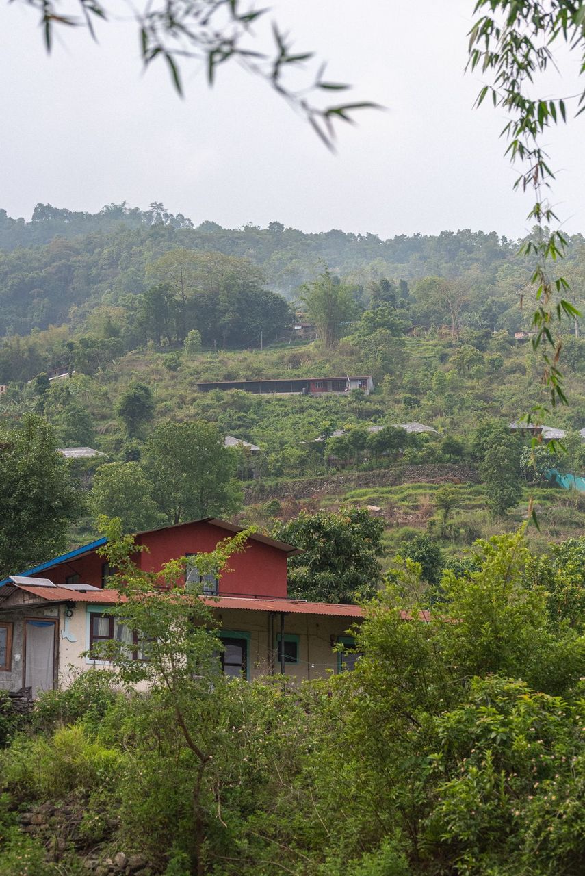 DSC_6884.JPG