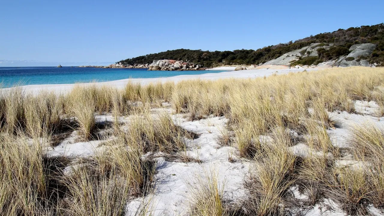 Beach near Sloop Lagoon - Bay of Fires Tas.jpg