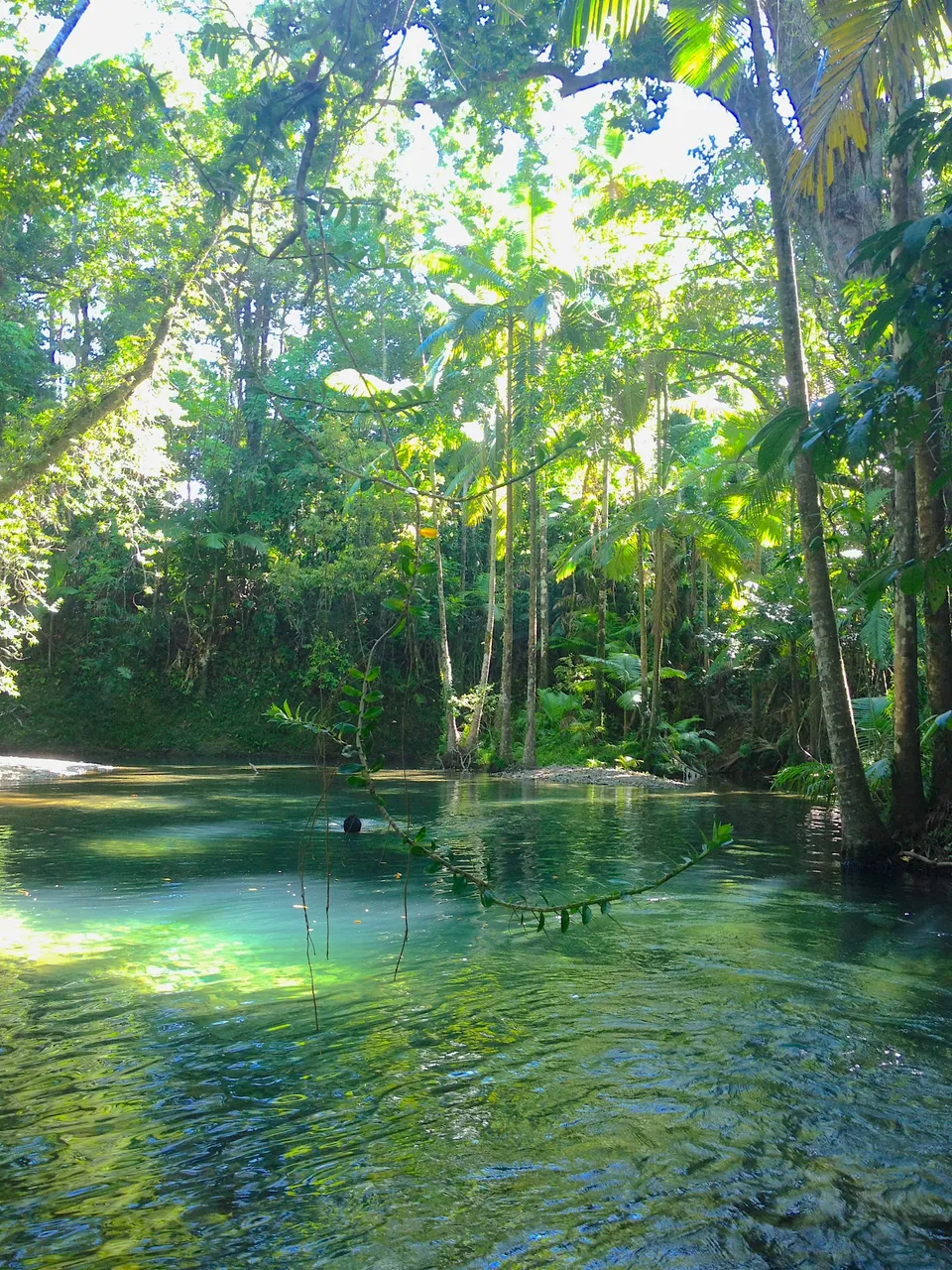 greenhole2.JPG