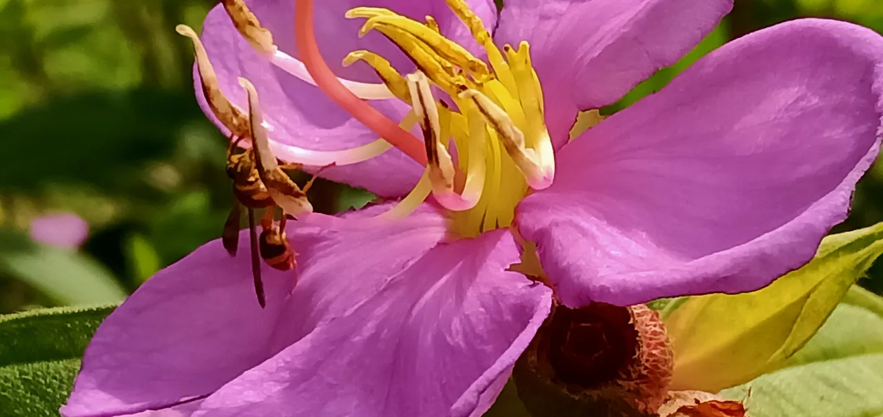 IMG20200826144800.jpg