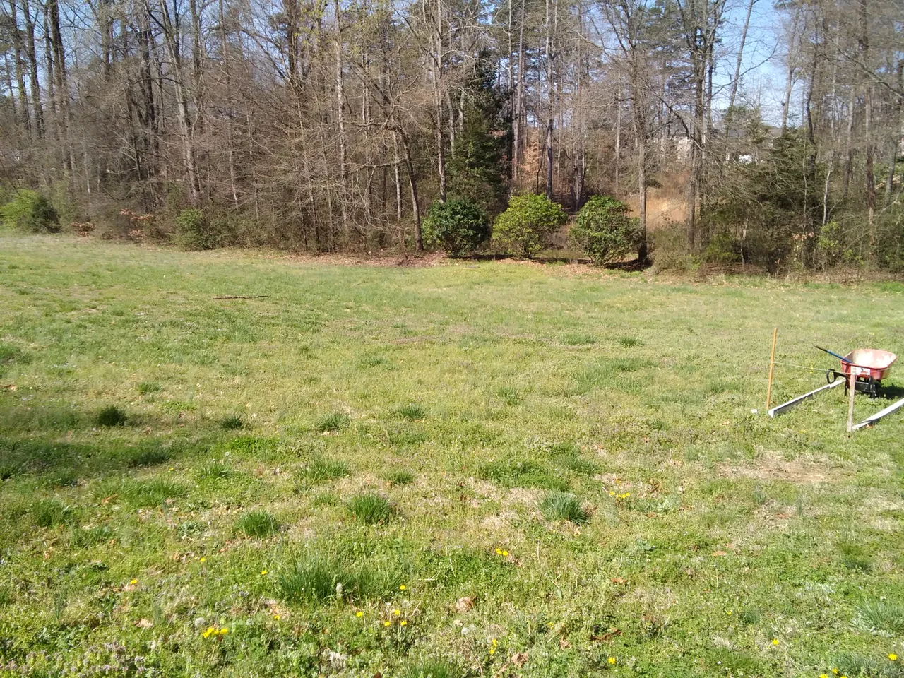 IMG_20200321_013745.jpg