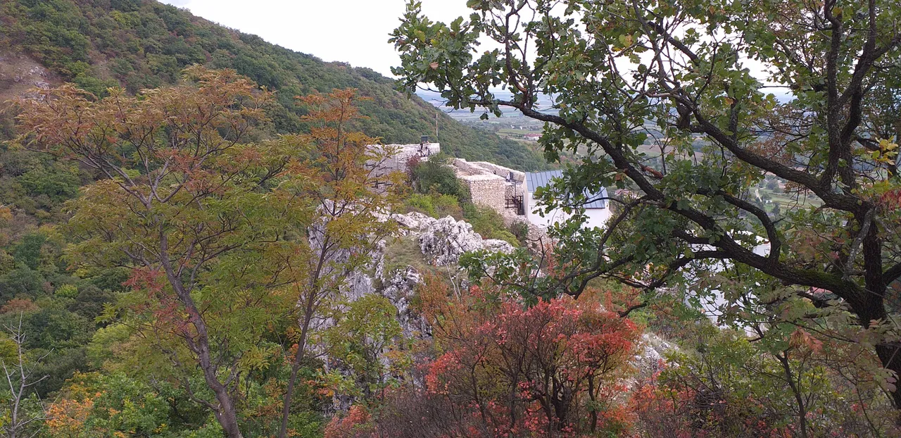 20201018_142841.jpg