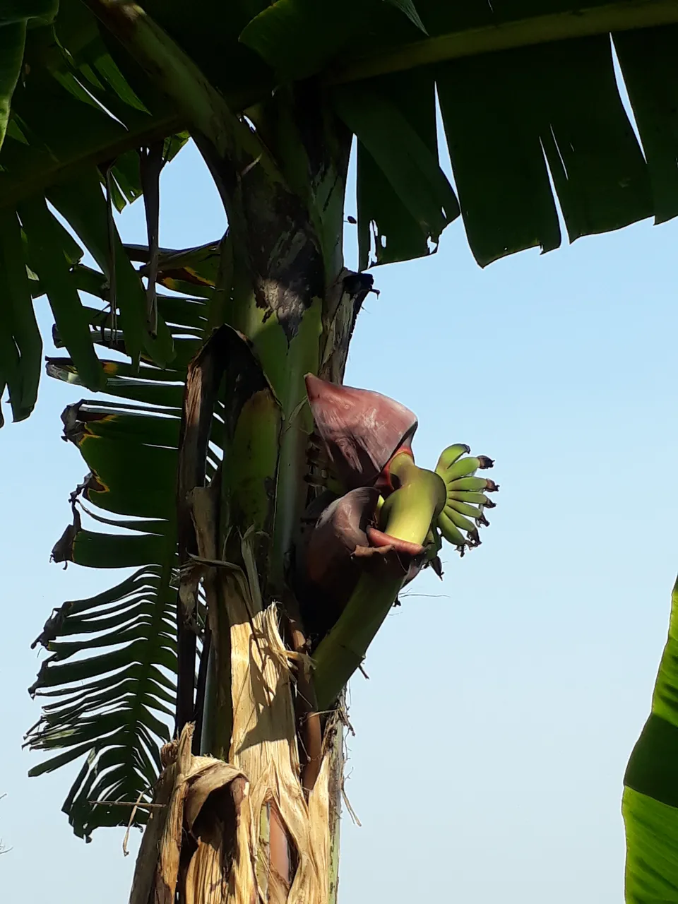 20201226_114332.jpg
