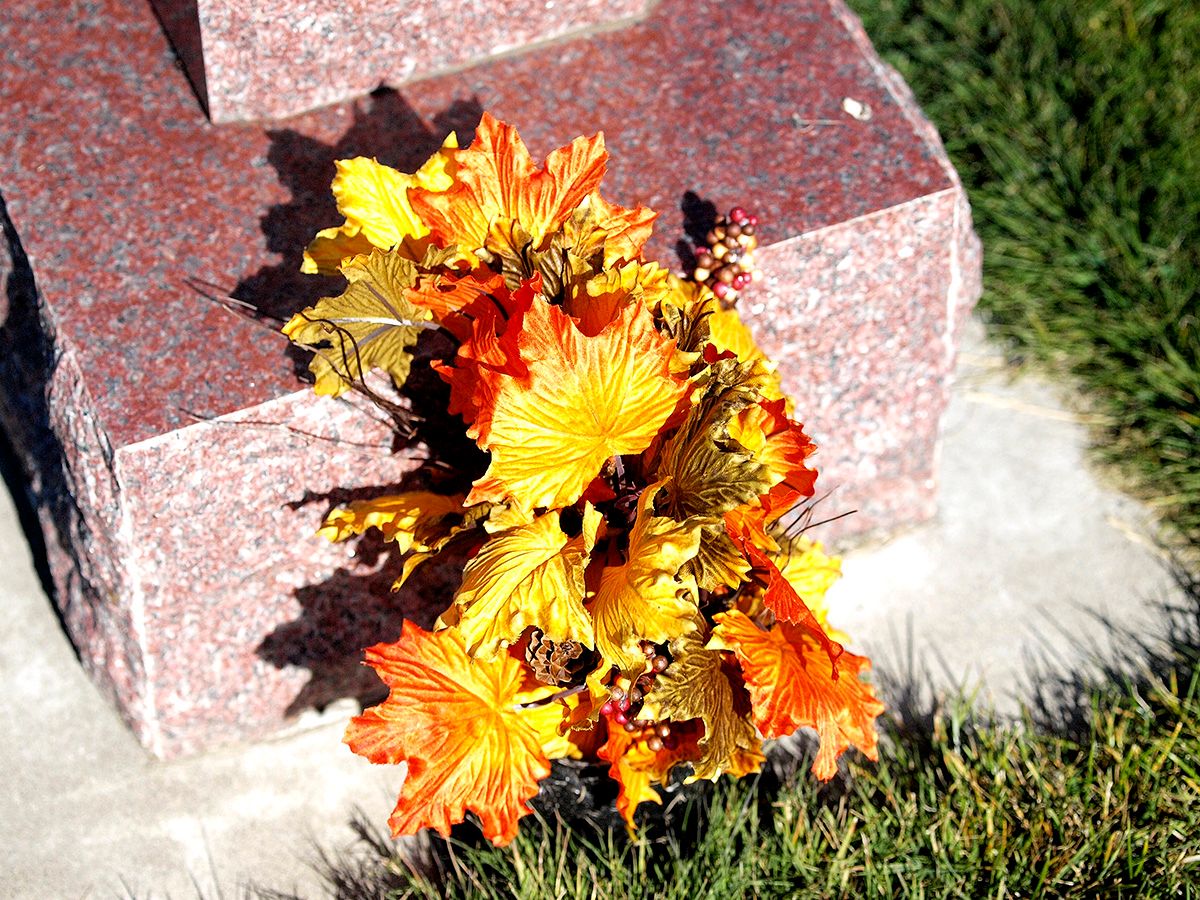 P1013691.jpg