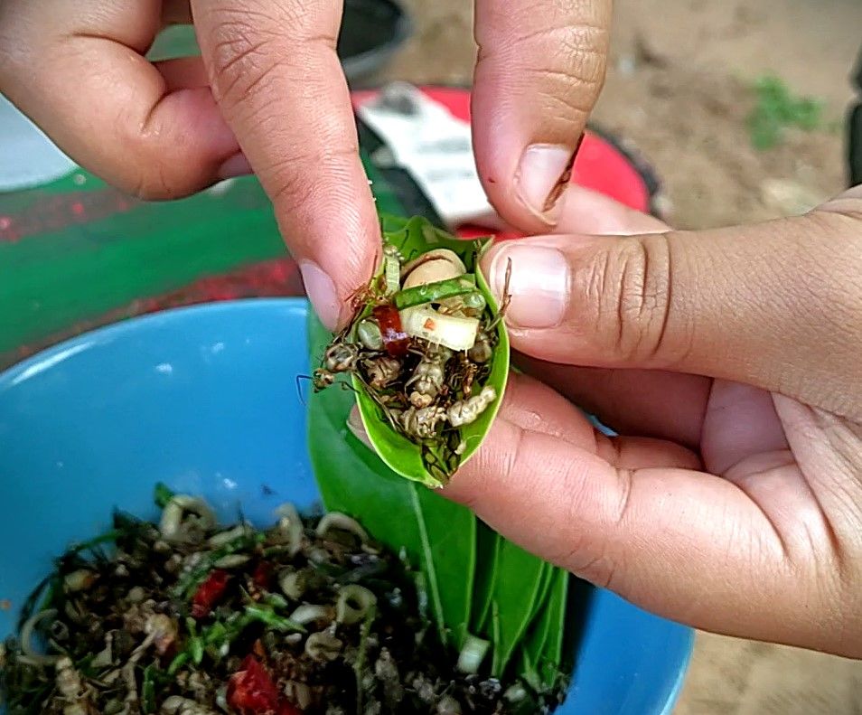Wrapping into the leaf.