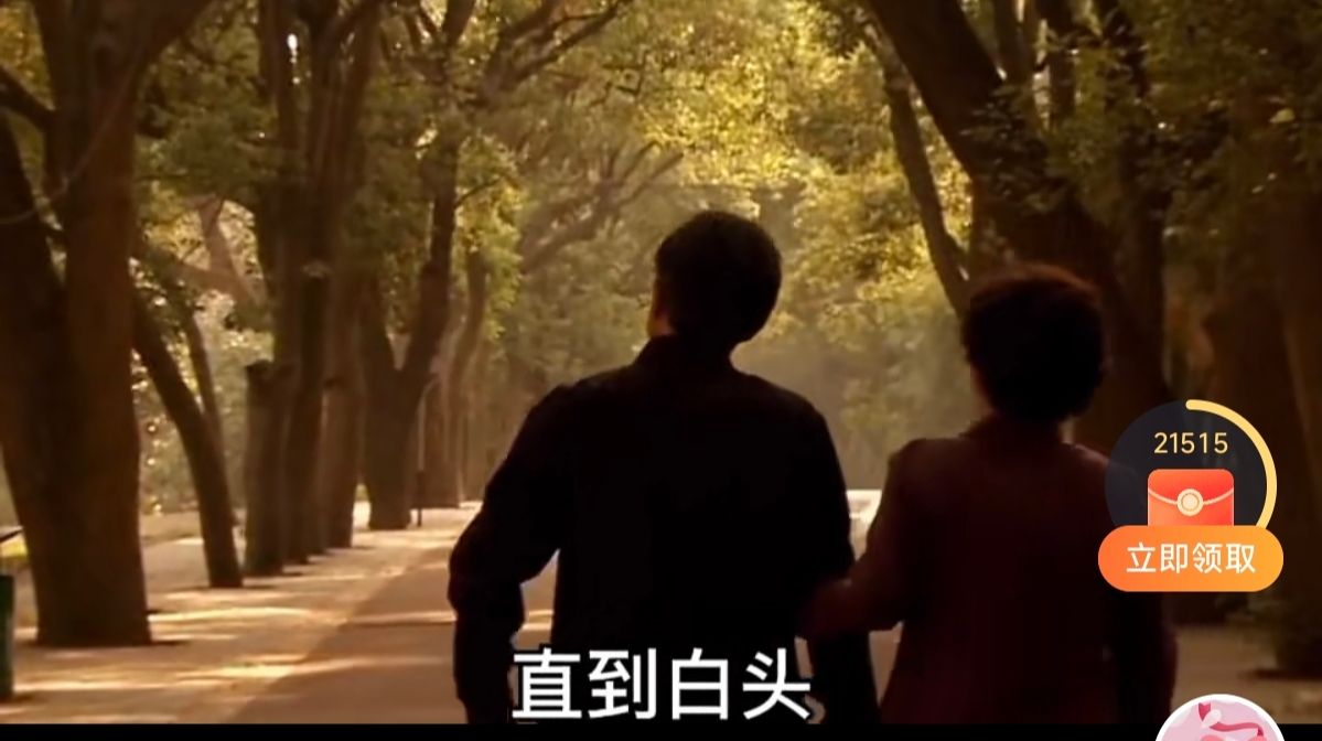 婚姻的真相-再刷王贵与安娜