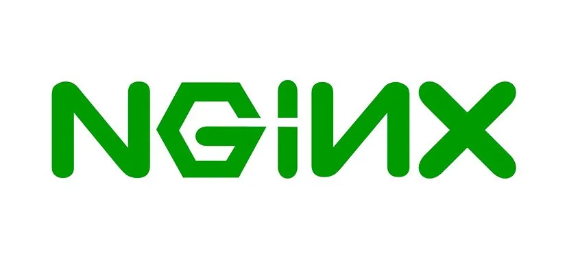 nginx.jpg
