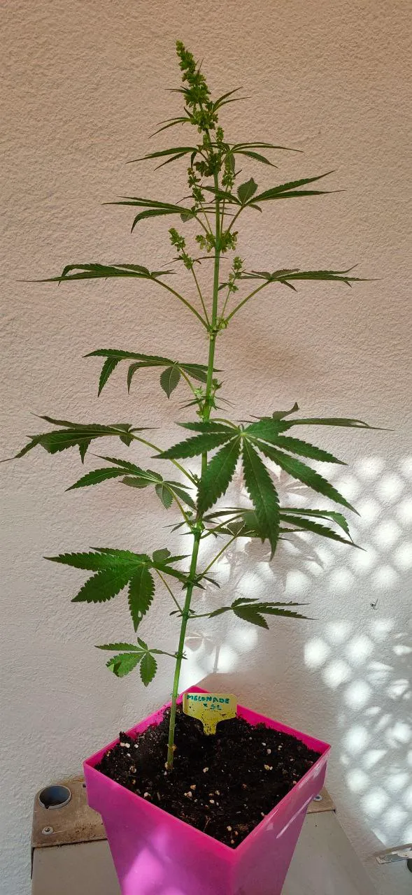 Seeds_8.jpeg