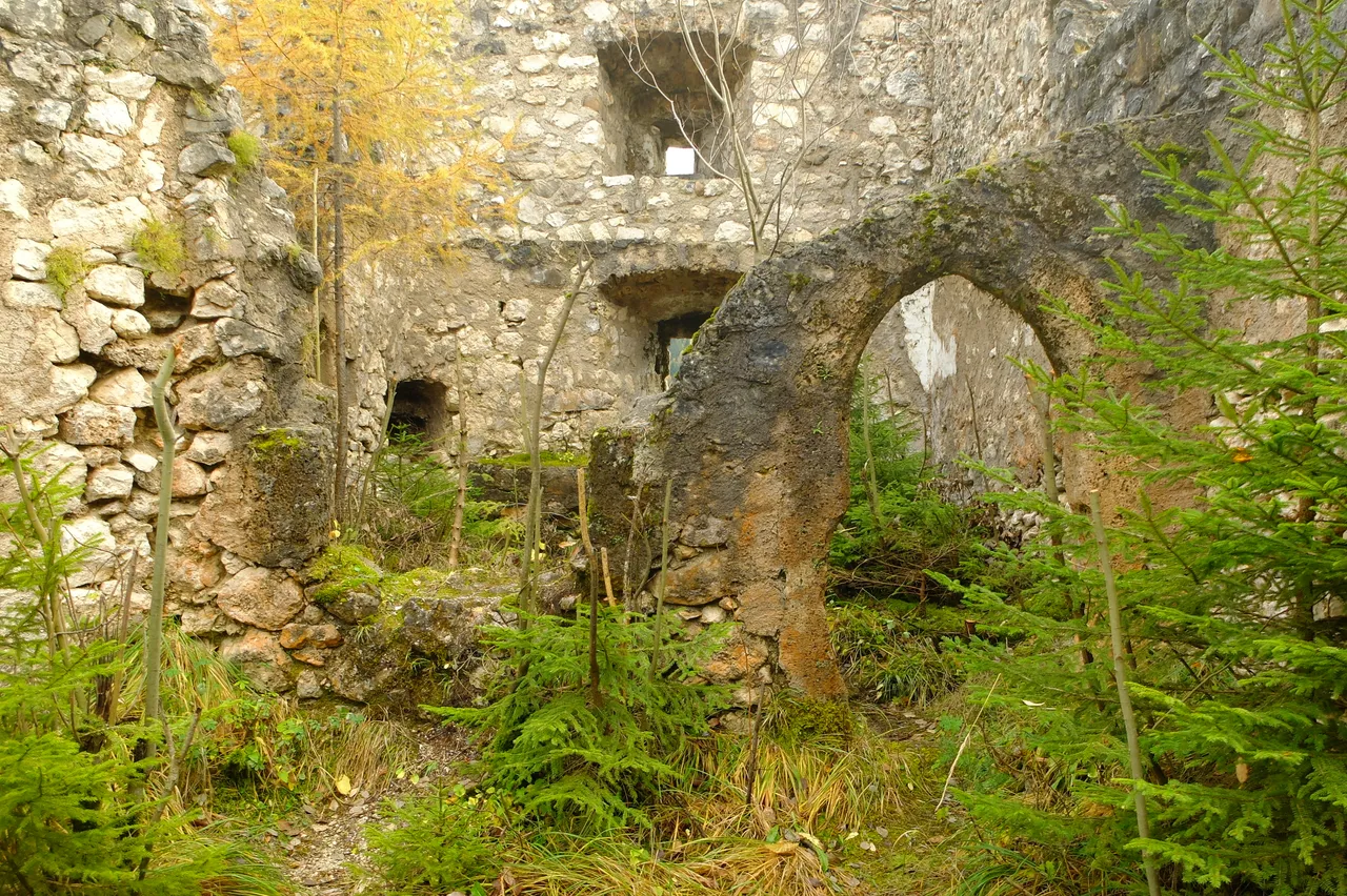 DSCF1402.JPG