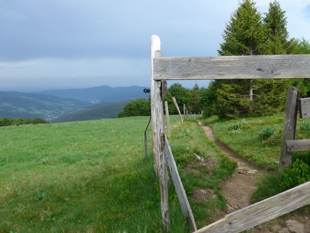 P1090230.JPG