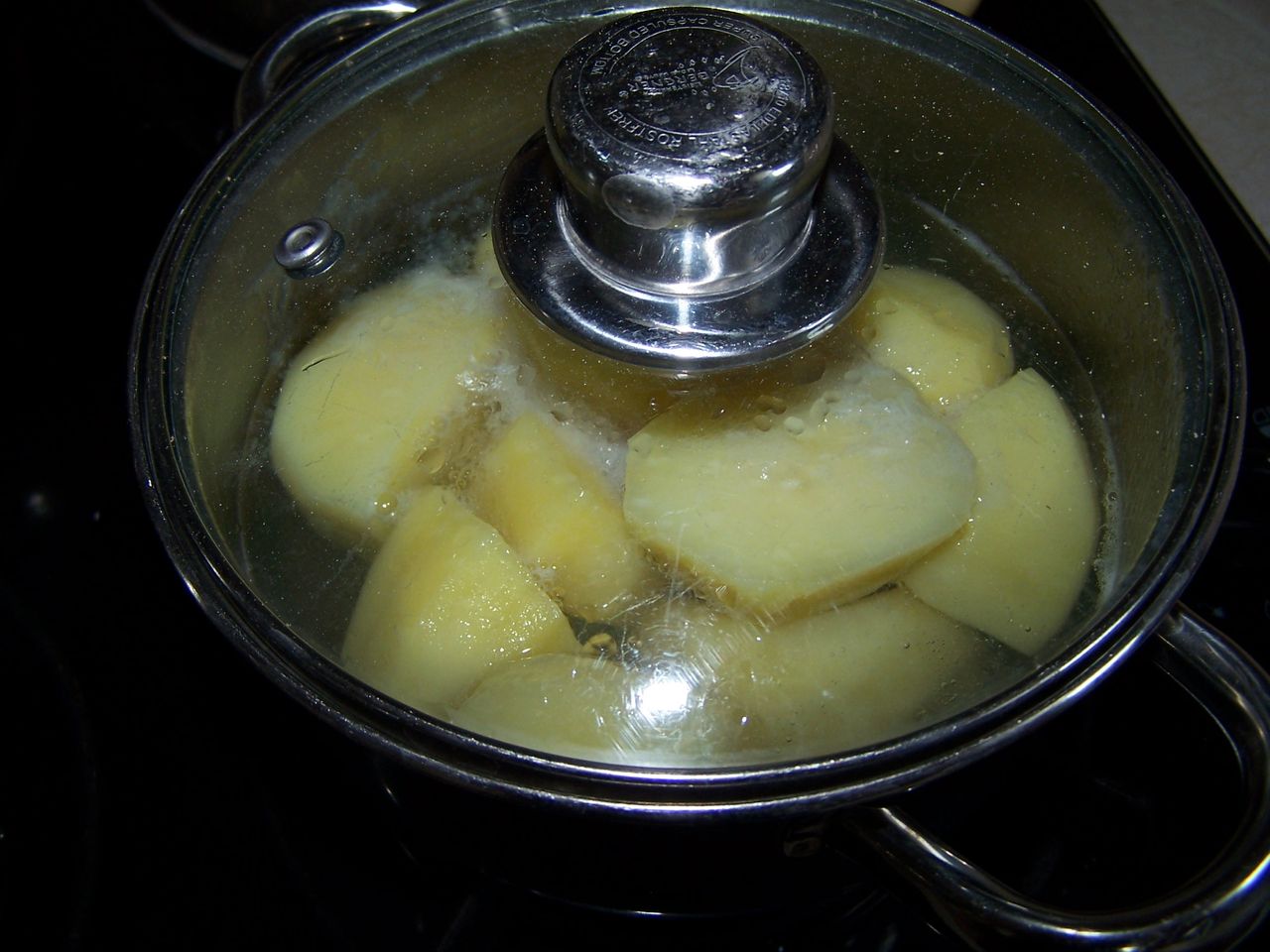 100_9863.JPG