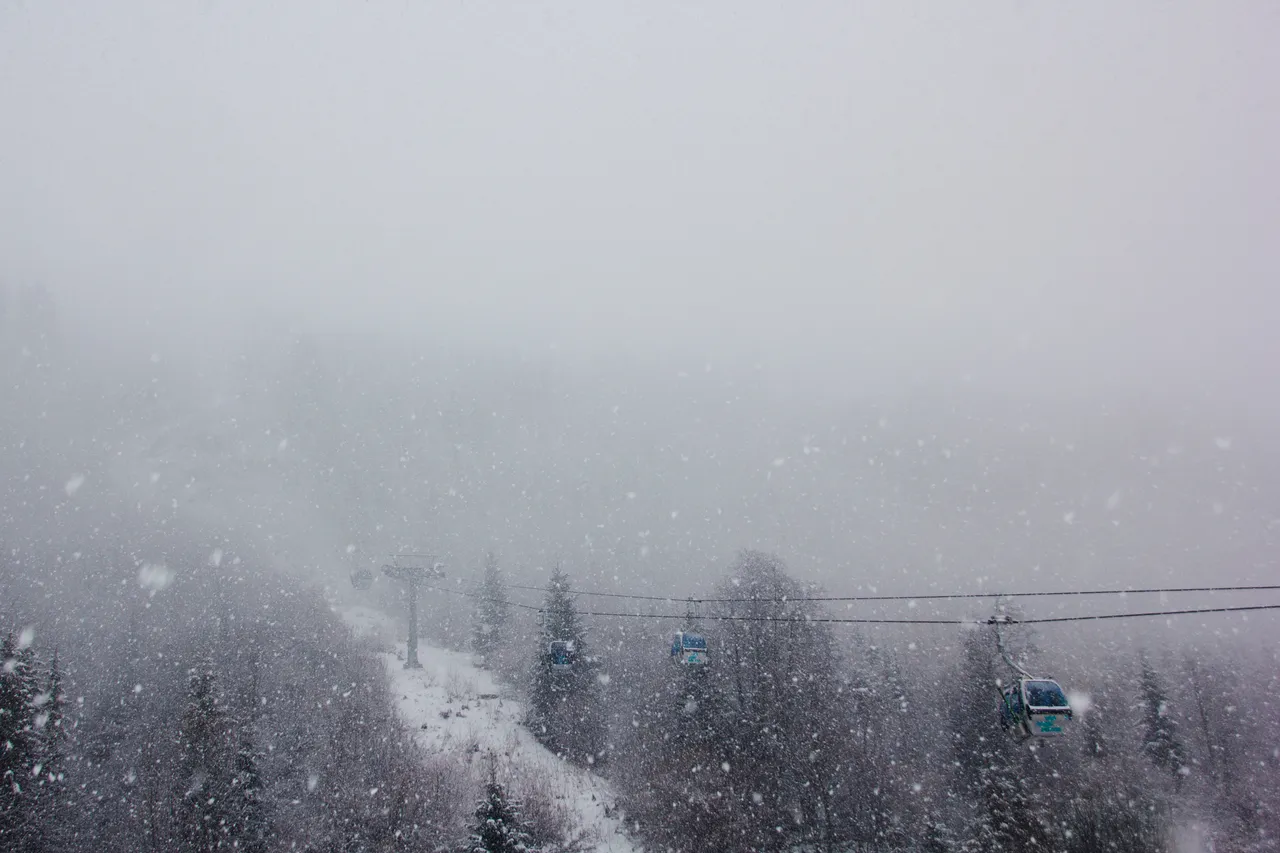 _MG_5275.jpg